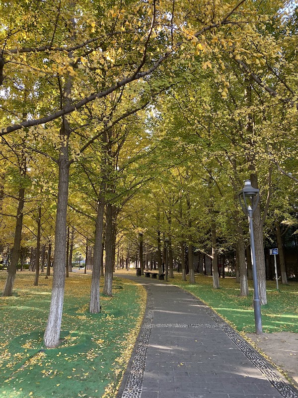 Ditan Park （West Gate） 3