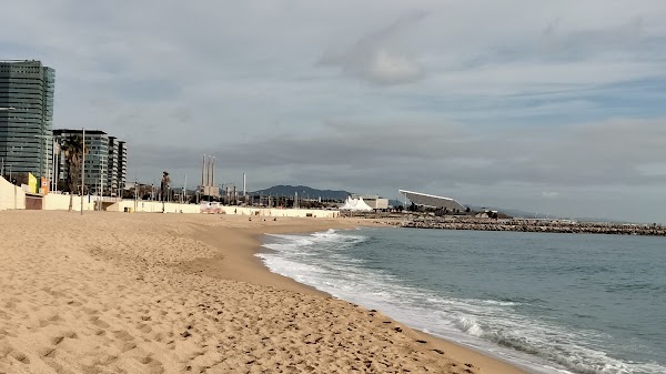 Playa de la Nova Mar Bella