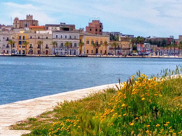 Brindisi