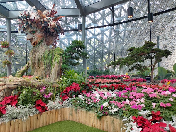 Floral Fantasy 4