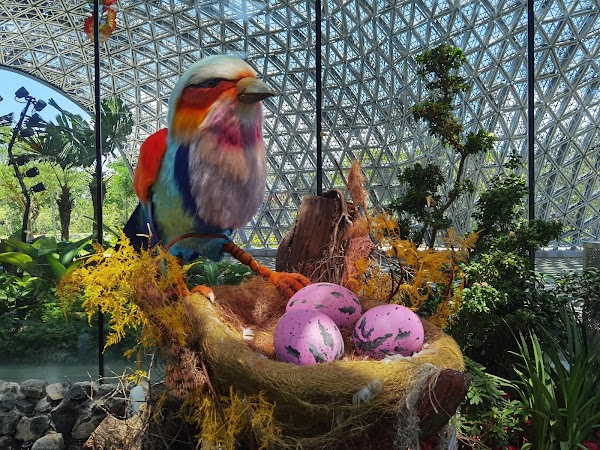 Floral Fantasy 3