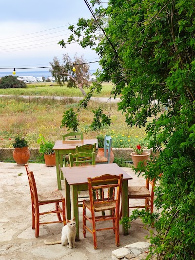 Taverna Axiotissa