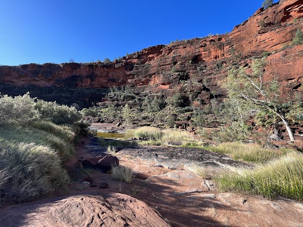 Palm Valley Campground 4