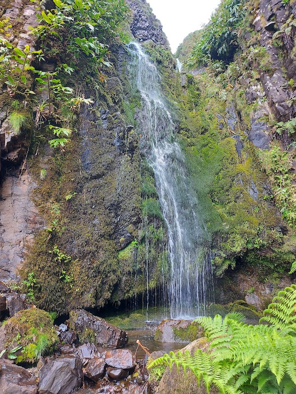 Rocha dos Bordões 3
