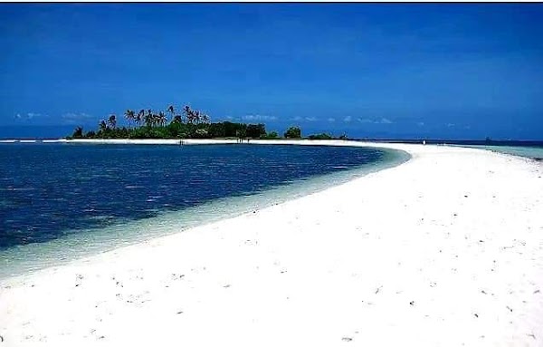 Pungtud Island 1