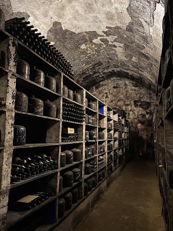 Niepoort Wine Cellar 4