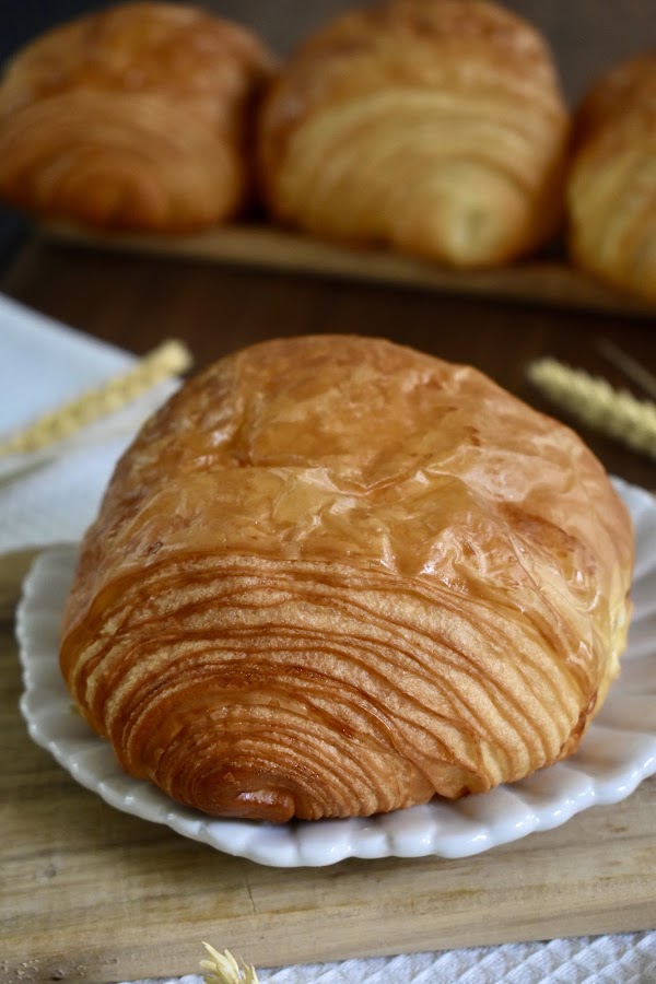 Graine 3