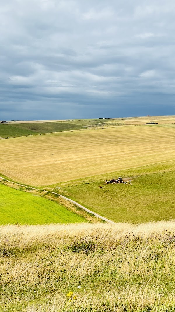 National Trust - Birling Gap and the Seven Sisters 3