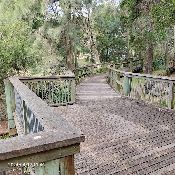 Central Gardens Nature Reserve 4