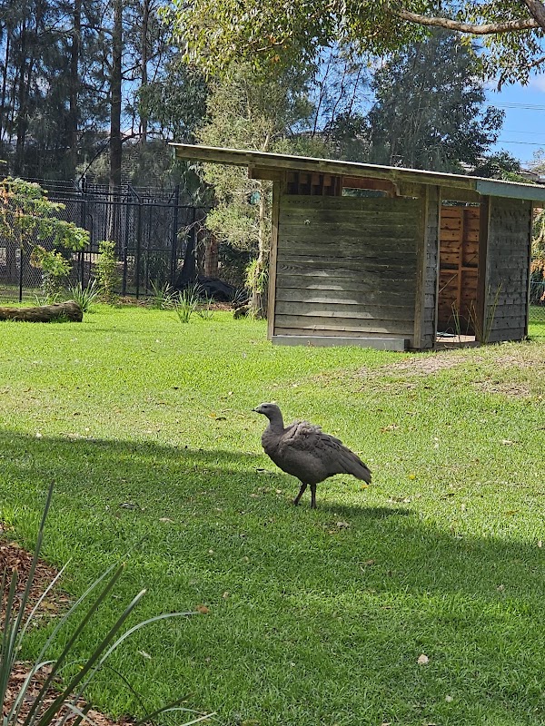 Central Gardens Nature Reserve 3