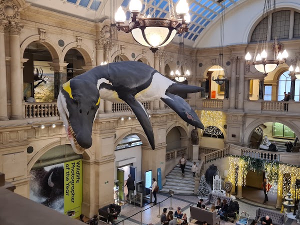 Bristol Museum & Art Gallery 3