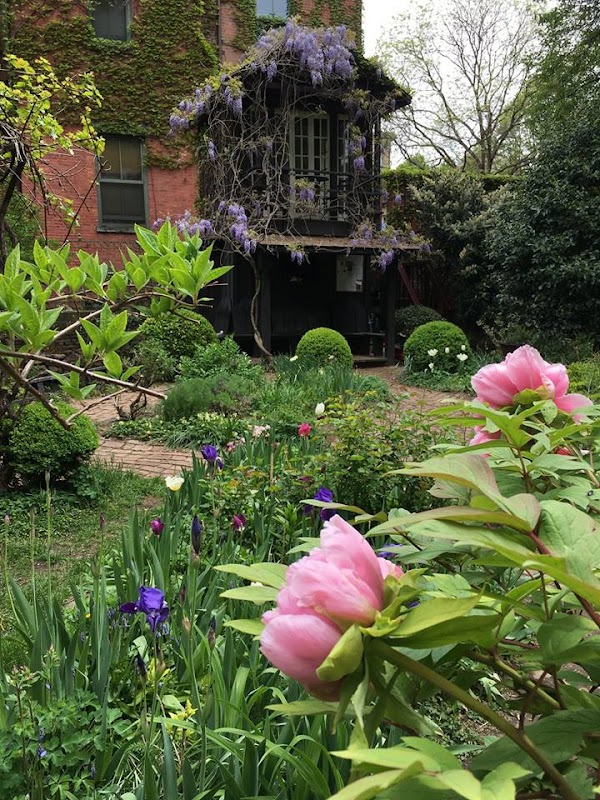 6BC Botanical Garden 5