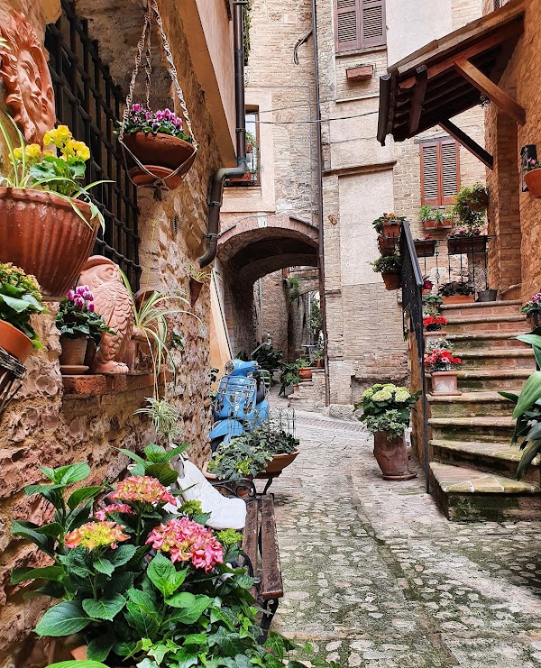 Spello 4