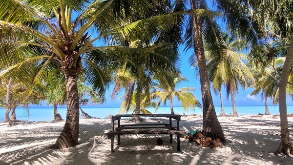 ONOK ISLAND 5