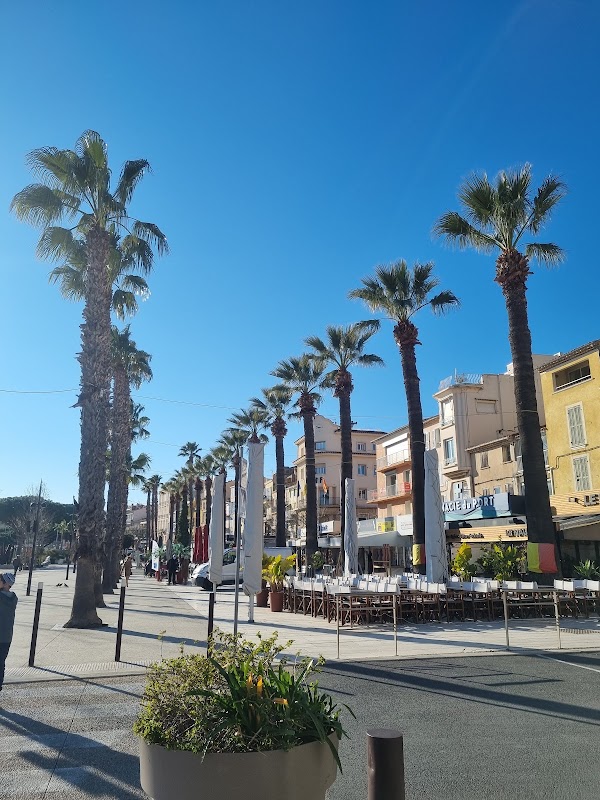 Bandol 3