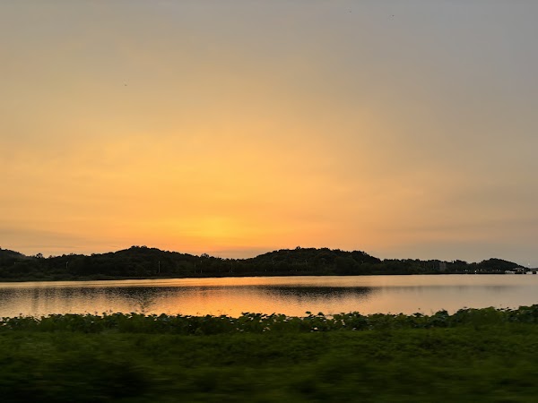 Pingtian Hu