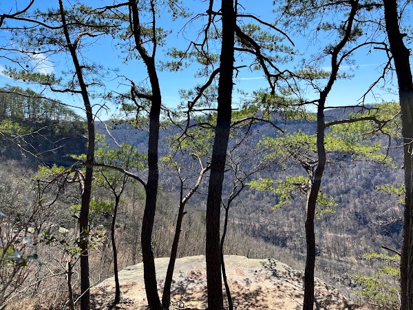 Endless Wall Trail 3