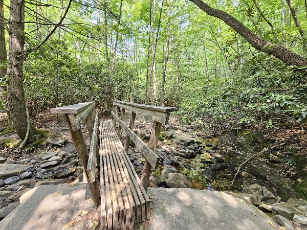 Endless Wall Trail 2