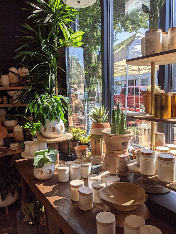 Flower Bar Design Studio 2
