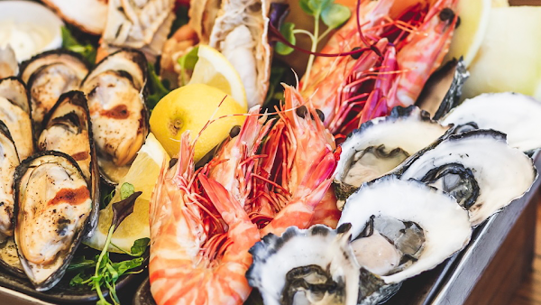 Tempest Seafood Restaurant and Teppanyaki Grill 5