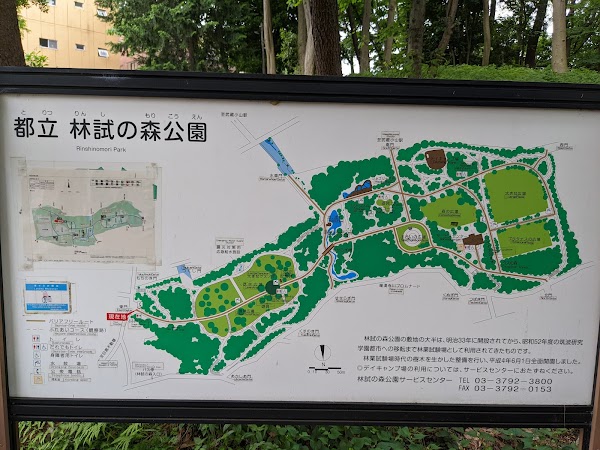 Rinshi-no-mori Park 1