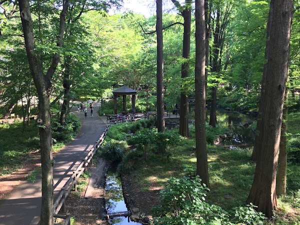 Rinshi-no-mori Park 5