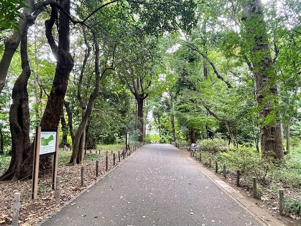 Rinshi-no-mori Park 4