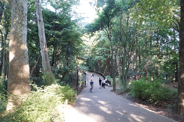 Rinshi-no-mori Park 3