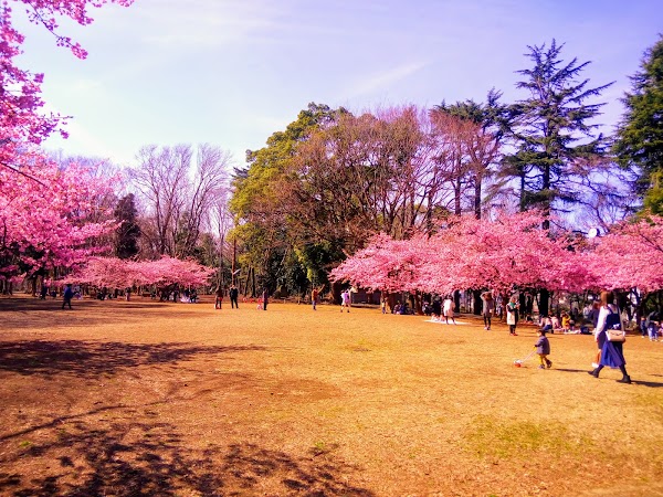 Rinshi-no-mori Park 2