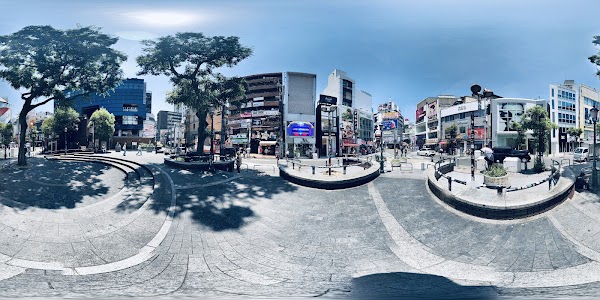 America-mura 5