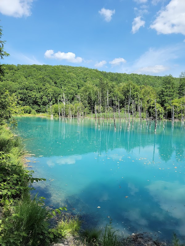 Shirogane Blue Pond (Aoiike) 1