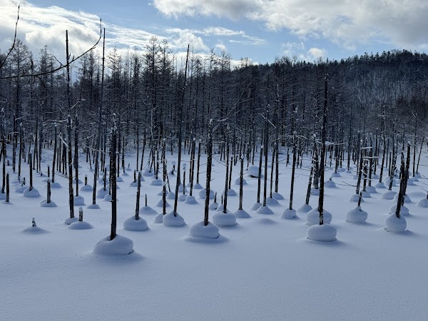 Shirogane Blue Pond (Aoiike) 3