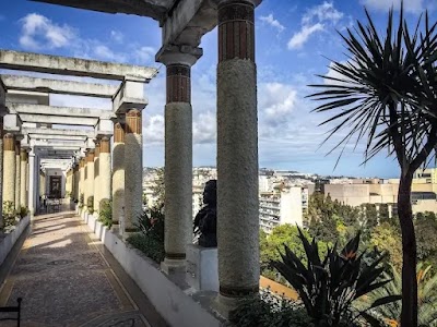 Museum of Fine Arts 2