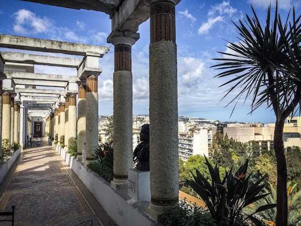 Museum of Fine Arts 6