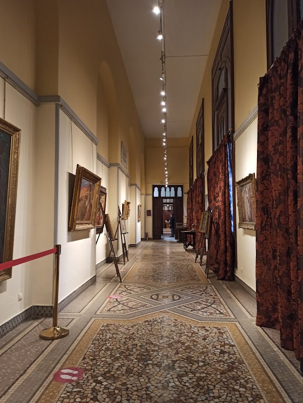 Museum of Fine Arts 5