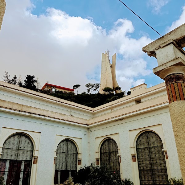 Museum of Fine Arts 4