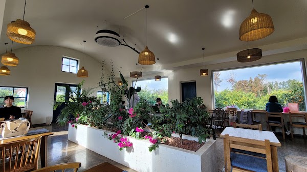 Cafe Dendri