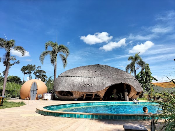The Cocoon Sauna & Ice bath 5