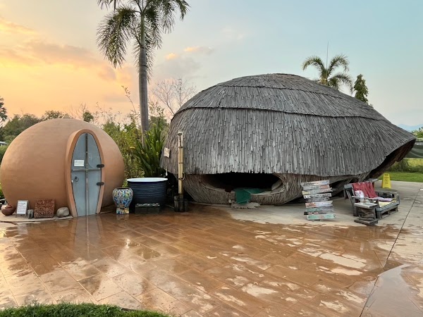 The Cocoon Sauna & Ice bath 3