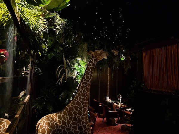 Bar LIBRE GINZA 3