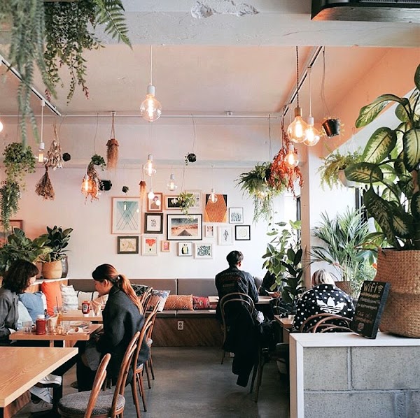 Plant Cafe Seoul (Itaewon) 1