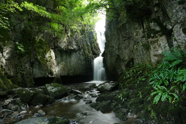 Catrigg Force