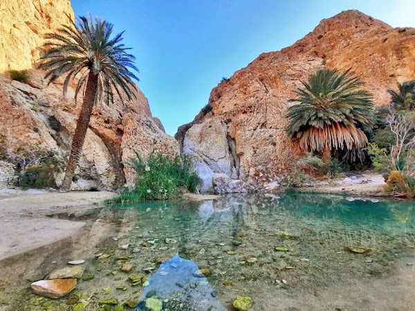 Chebika Oasis