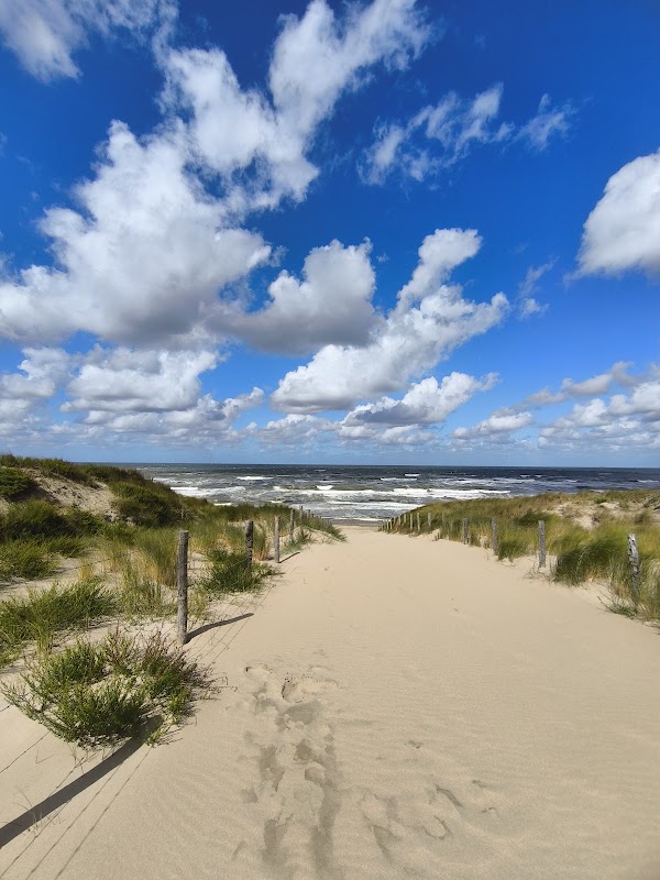 Strandreservaat Noordvoort 1