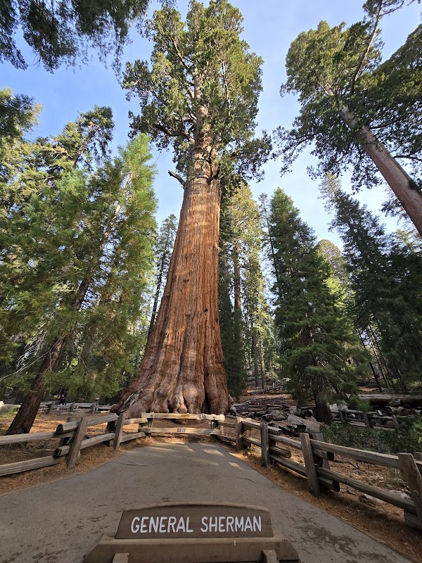 Sequoia & Kings Canyon National Parks 1
