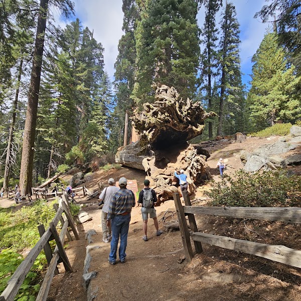 Sequoia & Kings Canyon National Parks 2