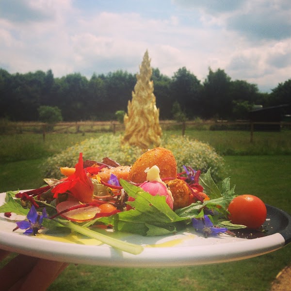 The Straw Kitchen 5