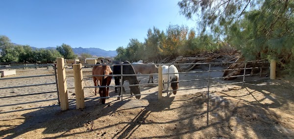 Furnace Creek 5