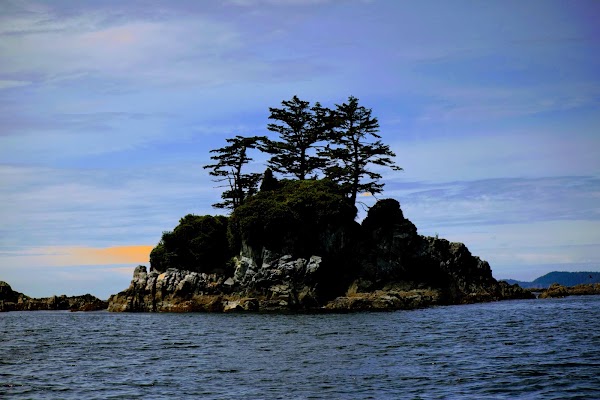 Bamfield 3