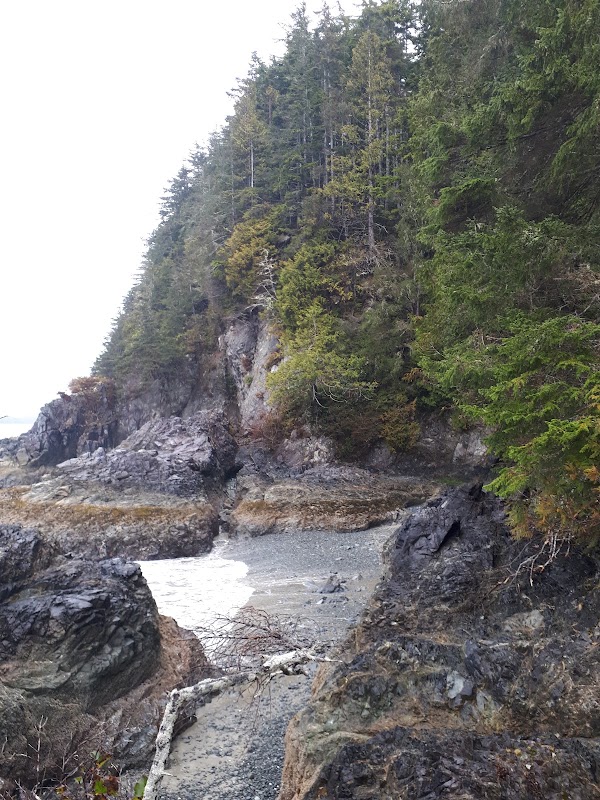 Bamfield 2